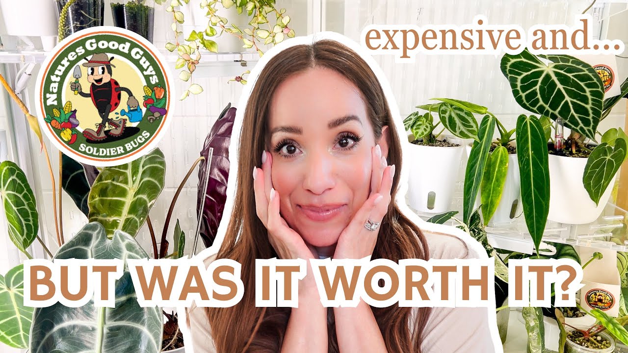 released PREDATORY MITES in my greenhouse cabinet to eradicate pests | sharing EVERYTHING