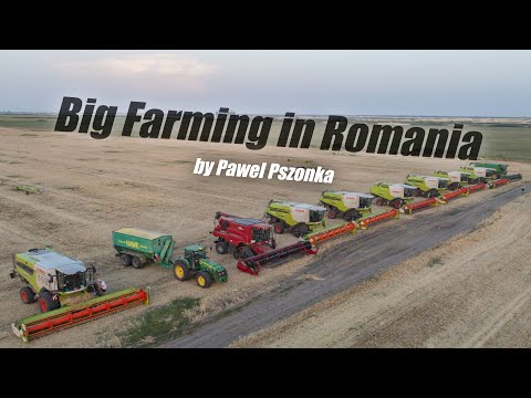 Podsumowanie Sezonu 2021