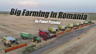 Podsumowanie Sezonu 2021 w Rumunii | Big Farming in Romania | Agrovena | Agriculture in Romania