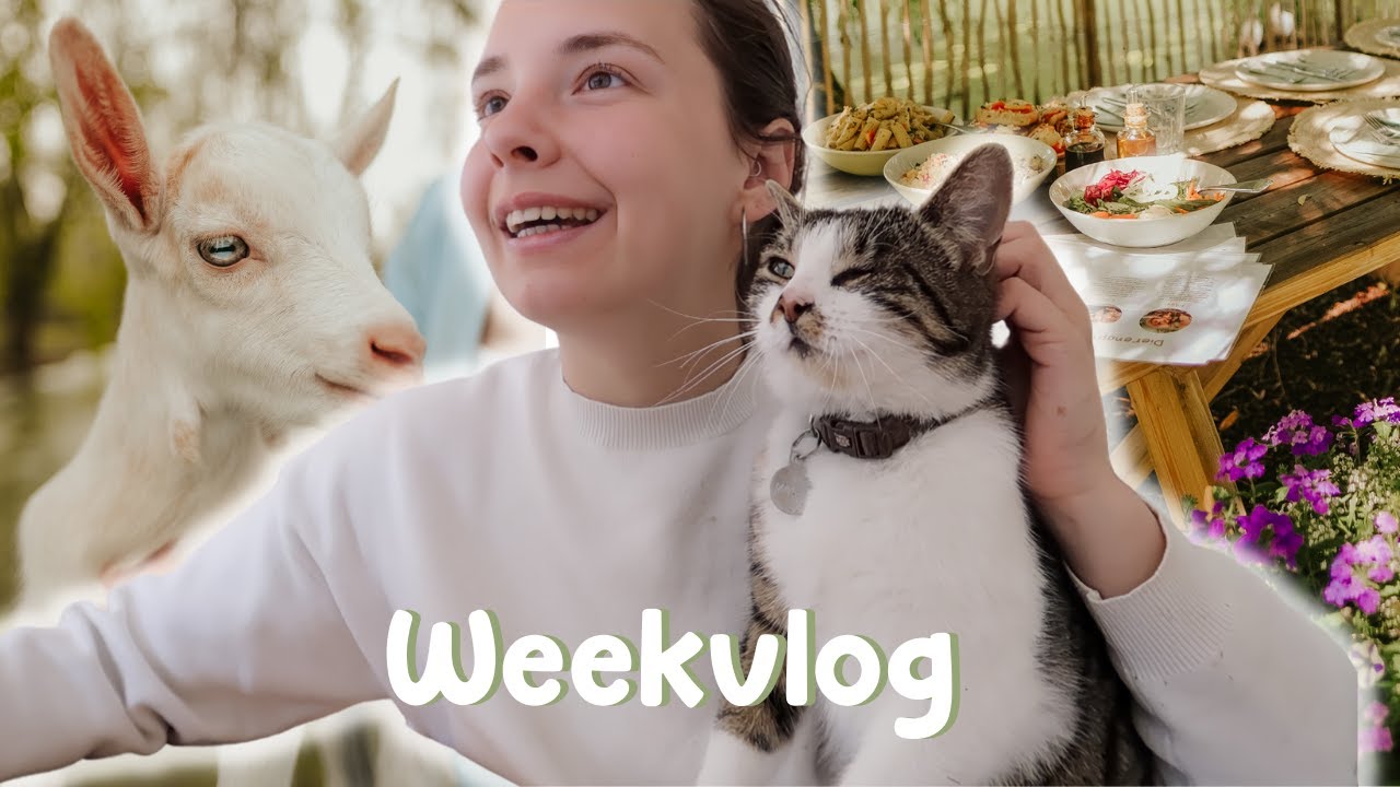 Picknicks organiseren, fotoshoots en dieren verzorgen | WEEKVLOG
