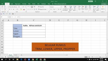 Fungsi Trim, Lower, Upper, & Proper di Excel | Format Merapikan Kalimat