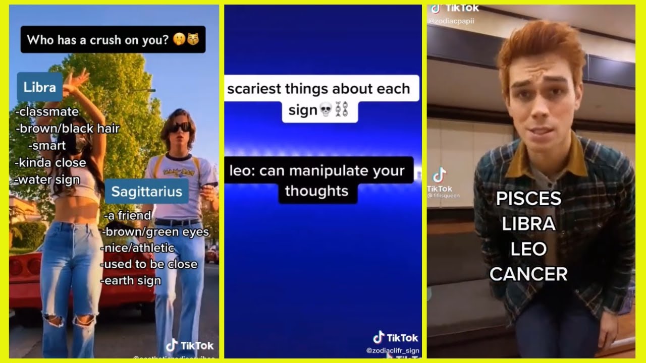 Zodiac Signs TikTok Compilation Zodiac Facts TikTok 73 YouTube