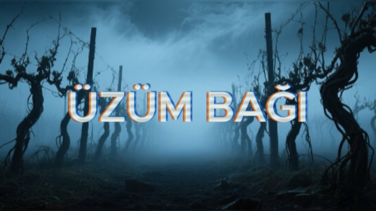 Üzüm Bağı – Finike’de Yaşanmış Tüyler Ürpertici Korku Hikayesi