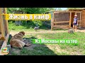 #203 Что и почём купили на рынке? Посадили виноград / Переезд на ЮГ России