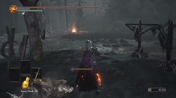 Dark Souls 3 Item And Enemy Randomizer Mod FINAL