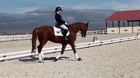 2020 Virtus video para-dressage competition - Soni...
