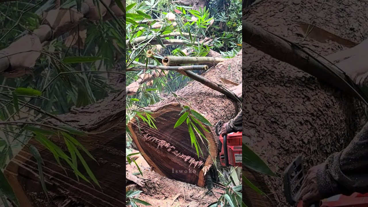 Blackened wood grain