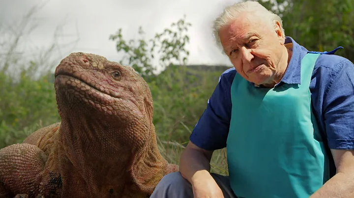 The Evolution of Life with David Attenborough (4K Documentary)