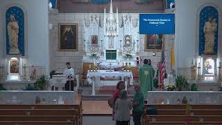 Holy Mass 19am, Fourteenth Sunday in Ordinary Time, July 5, 2026