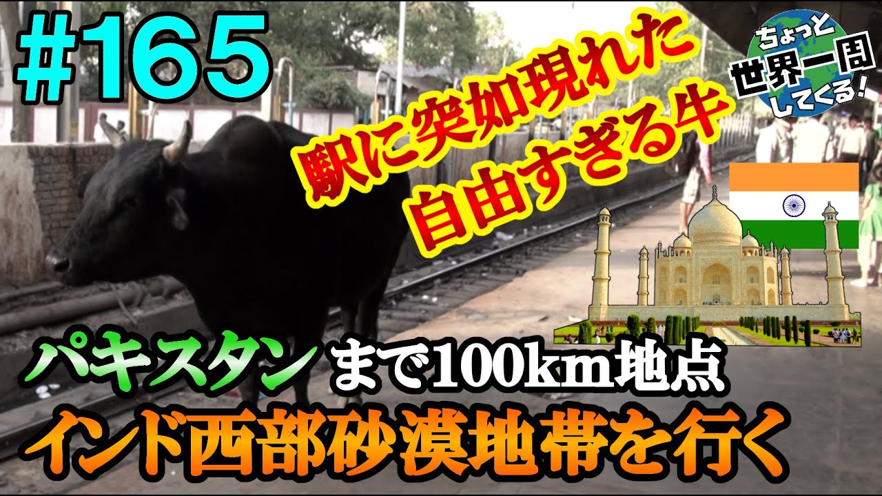 #165 [Тадж-Махал, Джодхпур, Джайсалмер / Индия] Романтический город в пустынной местности [Вокруг...