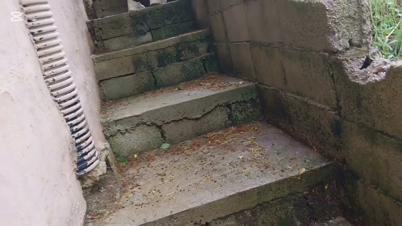 Lepota prirode Šar planine