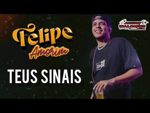 TEUS SINAIS TÃO CONFUNDINDO MINHA CABEÇA - FELIPE AMORIM