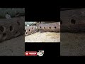 CAT TV | Video For Cats #mouse #tvcat #short