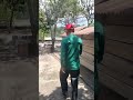 kandang di kebun jambu