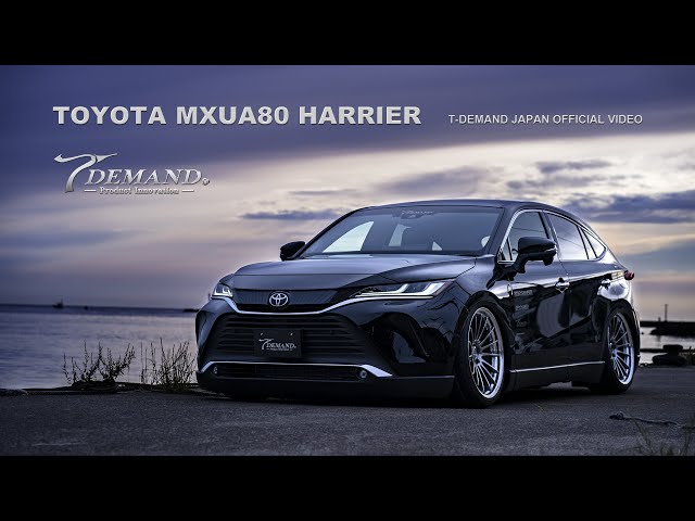 T-DEMAND イージープロ ver.2 60ハリアー 10NX 60ハリアー 再開発完成