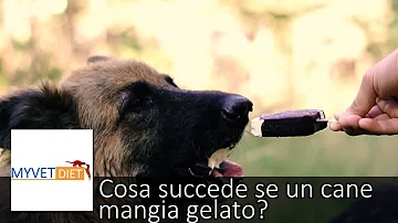 Cosa succede se un cane mangia gelato?