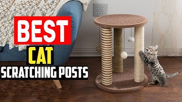 ✅Top 5 Best Cat Scratching Posts in 2025