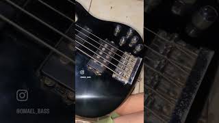 Reforma do baixo Tagima Millenium * Parte 1*