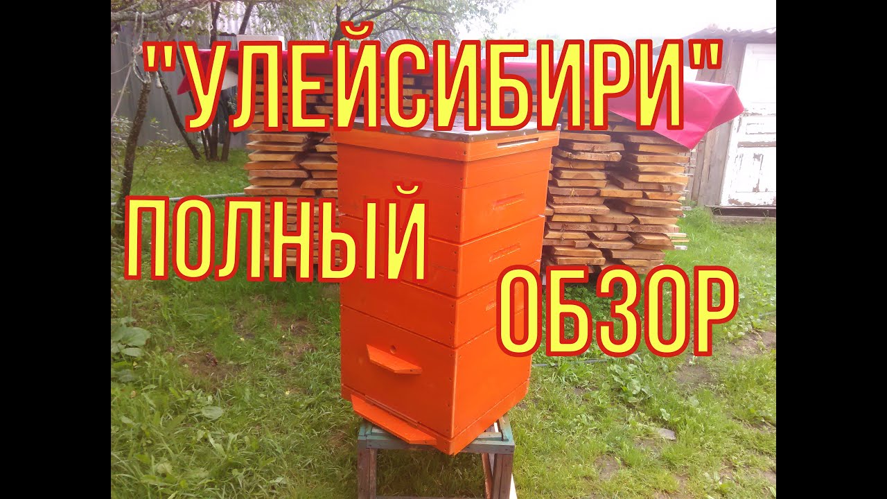 Улей из массива. Полный обзор улья от компании "УЛЬИ СИБИРИ"
