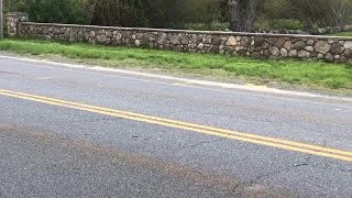Reporter Update: Police Seek  Hit & Run Driver In Westport