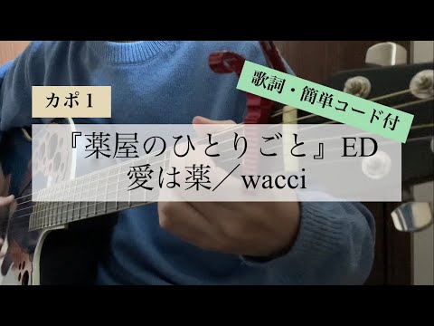 【歌詞・簡単コード付】愛は薬／wacci(covered by 黒木蒼生) 『薬屋のひとりごと』ED