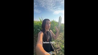 Dolly Parton-themed corn maze opens today