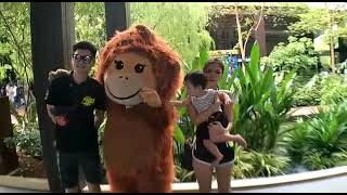 Singapore Zoo Little J First Time To Zoo