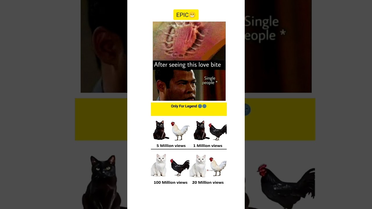 “Love looks sweet until it bites 😂.”