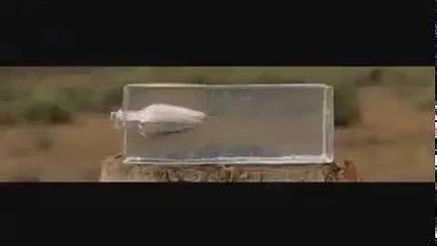 44 mag. Slow Motion from Bullet Theory Films owners of this video