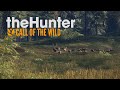 The Hunter COTW - Мои лучшие трофеи #2