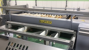 Kerian Speed Sizer for potatoes, shallots or brussel sprouts