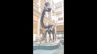 Best Tourist Attractions you MUST SEE in La Plata, Argentina | 2019