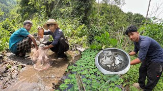 Catching Fresh River Fish for My Mini Fish Pond.