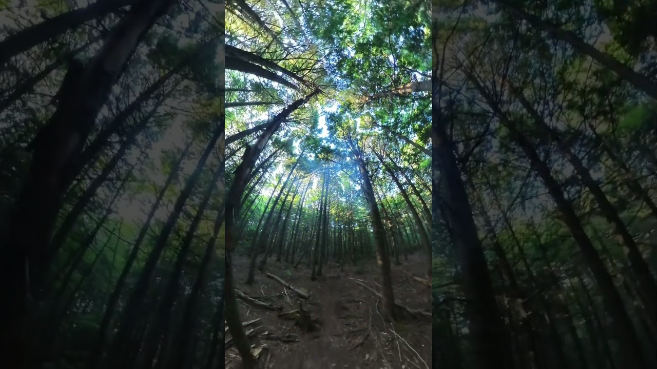 I ThinK I Can Fly!!!  