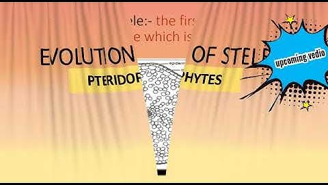 Evolution of stele||Pteridophytes||Upcoming vedio||By Poornima