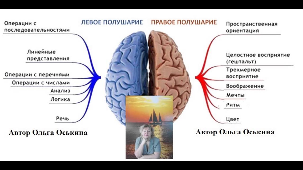 Болят полушария мозга. Левое и правое полушарие. Левое полушарие мозга. Левое полушарие головы. Болит левое полушарие.