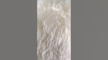 Day 1 of making ugly transitions