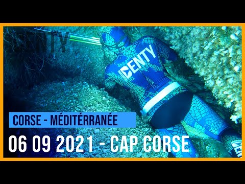 Image du reportage Chasse sous-marine début septembre au Cap Corse (Stéphane Dudon - Denty Spearfishing)