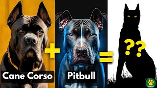 Top 5 Most Amazing Cane Corso Mix Breed Dogs You Dont Know About