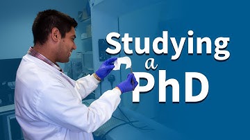 Studying a PhD | University of Sheffield