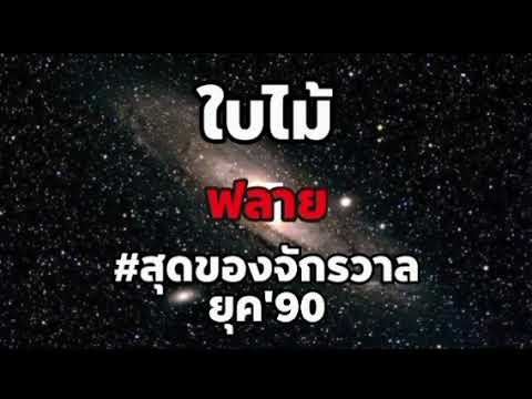 ใบไม้ - ฟลาย