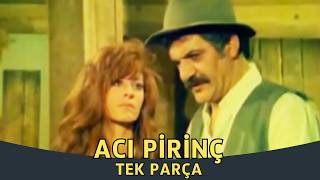 Acı Pirinç | Erol Taş Eski Türk Filmi