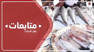 قرار حكومي بإيقاف تصدير منتجات الأسماك والأحياء البحرية