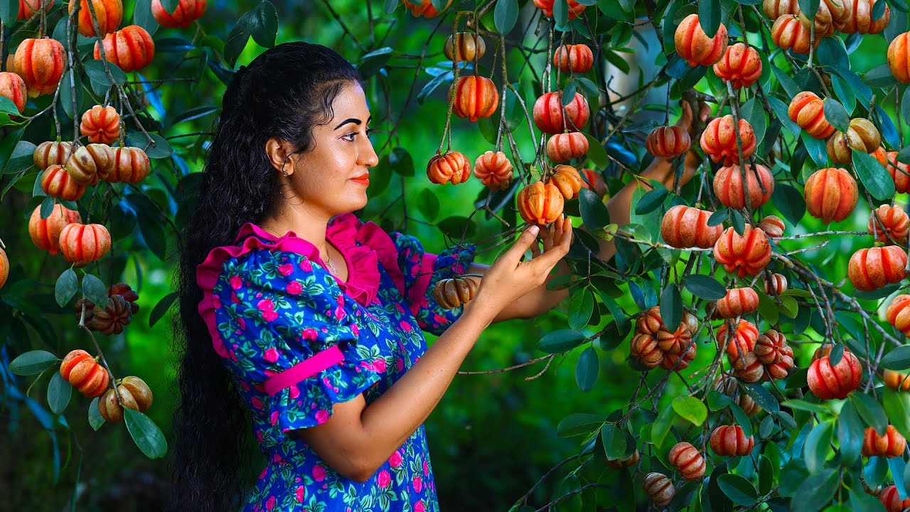 Goraka From My Home Garden 🌿 Sun-Dried, Blended Into Chutney, and Cooked in Sri Lankan Village Style