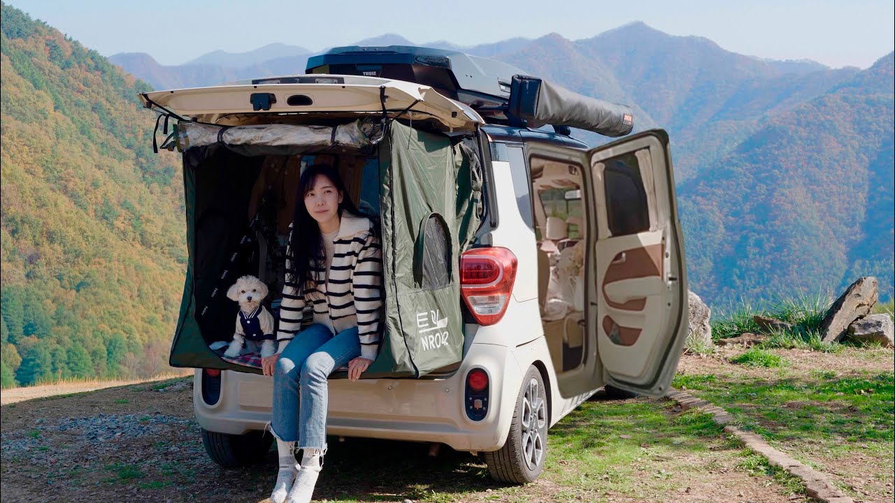 🏕️ Уютный кемпинг в машине с собакой на вершине горы 🚗