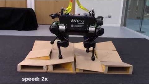 Single-shot Foothold Selection and Constraint Evaluation for Quadruped Locomotion