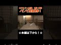 ノビノビ座席を徹底解剖！【サンライズ号】#shorts #旅行 #鉄道 #サンライズ