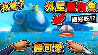 【深海迷航】我養了【外星❤寵物魚】它居然會ＯＯ😂!! 全新物種...催眠怪魚【角色被控制】差點被一口吞 XDD !! 中文劇情《Sub海洋生存》全字幕 !! 第一季