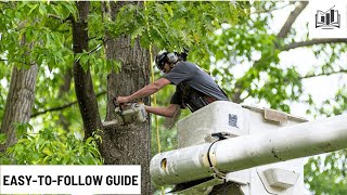 How to Start a Tree Service Business