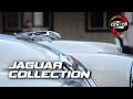 Jaguar Car Collection